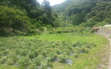 Display 2014 06 26 10.25.50
